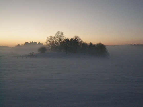 Winterimpression Reichling
