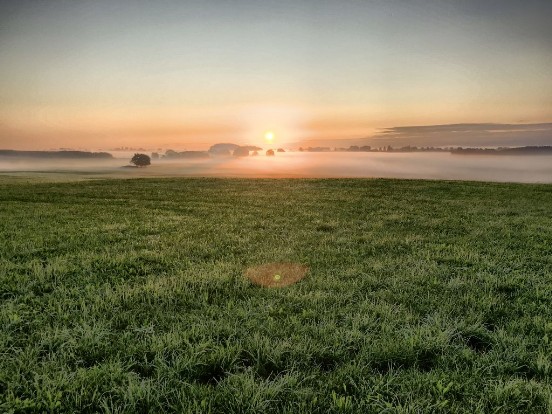 Morgennebel bei Diessen
